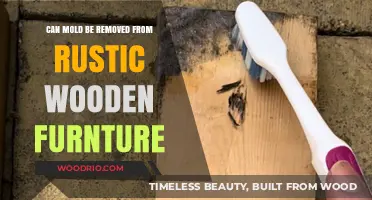 Restoring Rustic Charm: Effective Mold Removal from Wooden Furniture