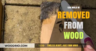 Reviving Wood: Effective Strategies to Remove Mold and Restore Beauty