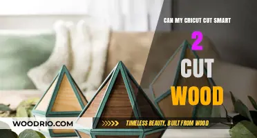 Crafting with Cricut: Can the Smart 2 Handle Wood?