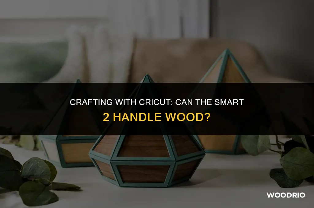 can my cricut cut smart 2 cut wood