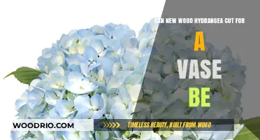 Freshly Cut Hydrangeas: Perfect for Vase Arrangements