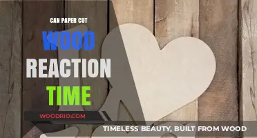 Exploring the Surprising Science Behind Paper Cuts and Woodworking Reaction Times