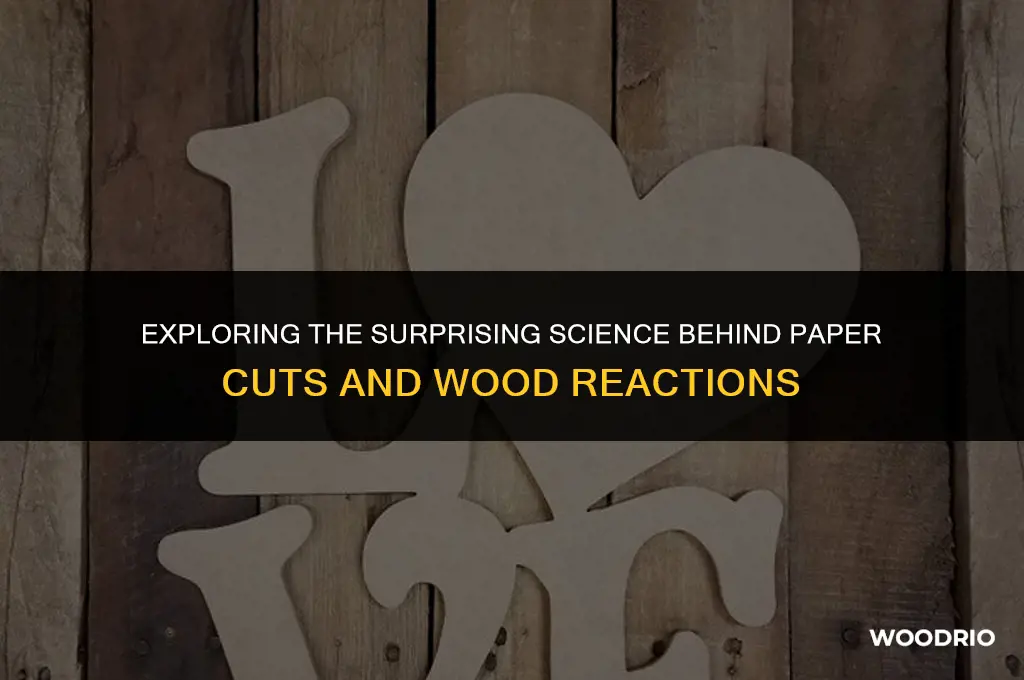 can paper cut wood reaction