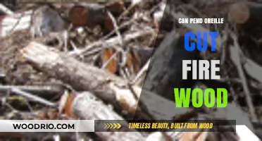 Crafting Warmth: The Art of Cutting Firewood with a Pend Oreille