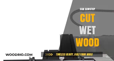 Precision and Safety: Can SawStop Tackle Wet Wood Cutting?