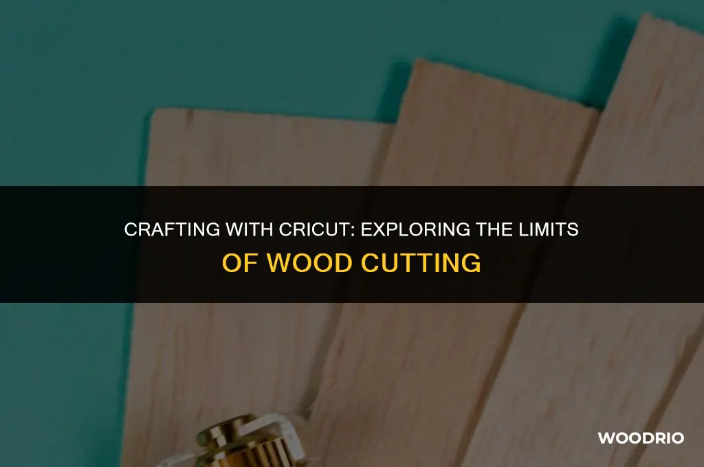 can scan n cut cut cricut wood