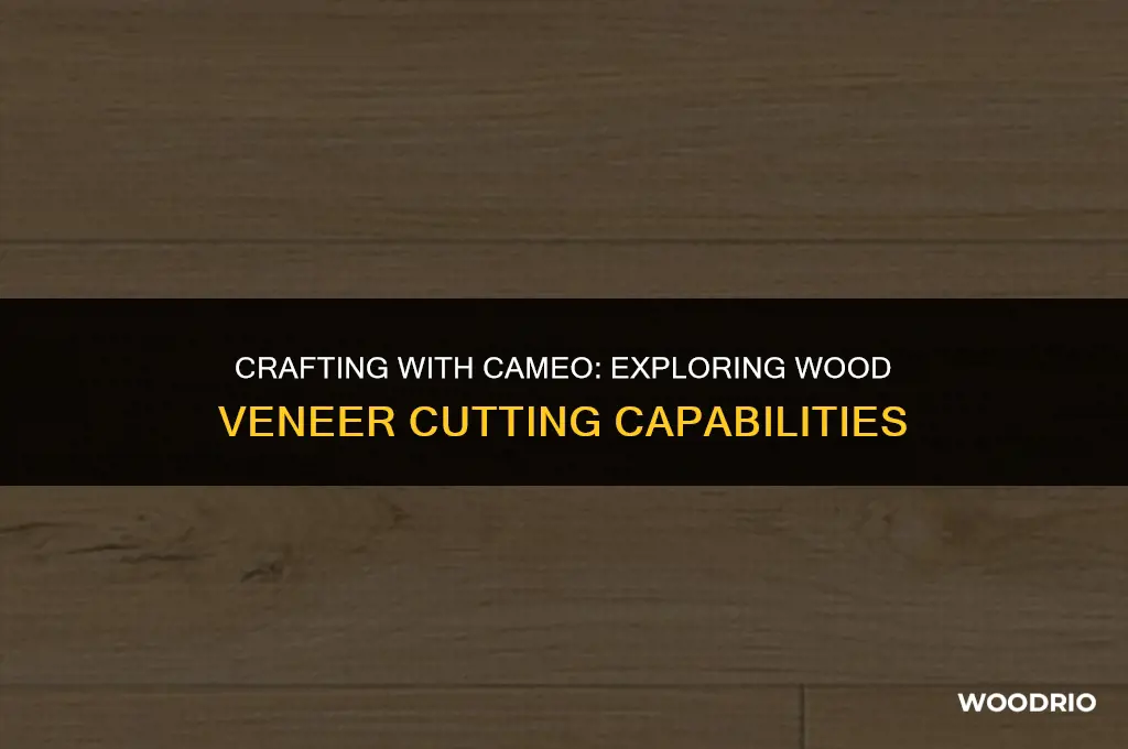 can silhouette cameo cut wood veneer