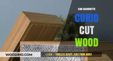 Precision Crafting: Can Silhouette Curio Cut Wood?