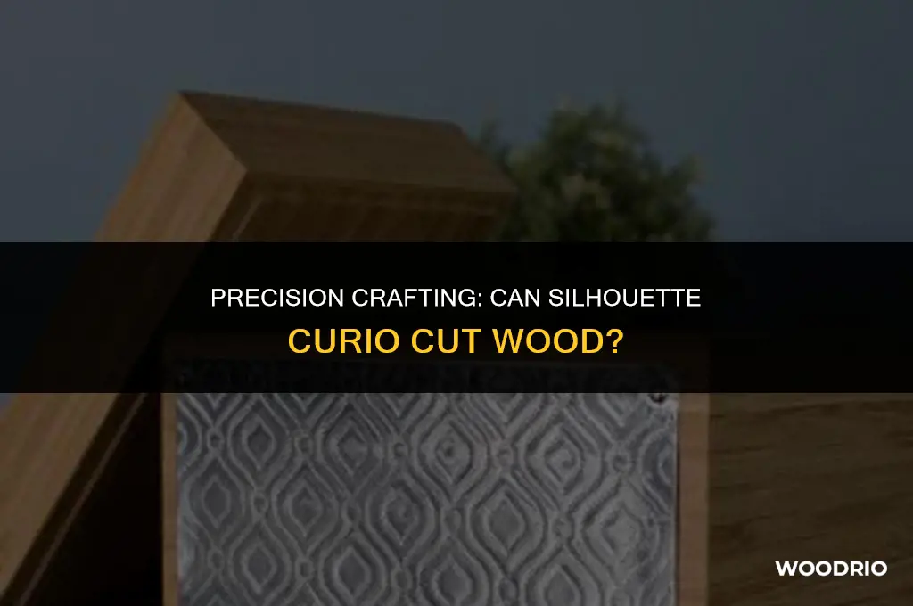 can silhouette curio cut wood