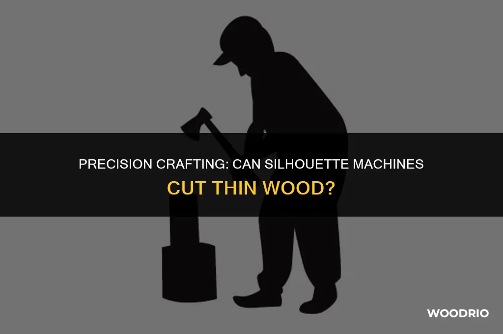 can silhouette cut thin wood