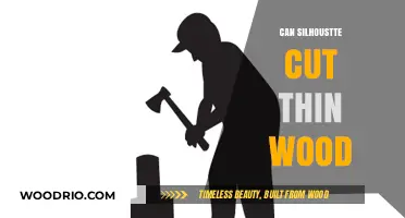 Crafting with Precision: Can Silhouette Machines Cut Thin Wood?