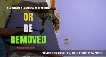 Treating Termite Damage: Repair or Replace?