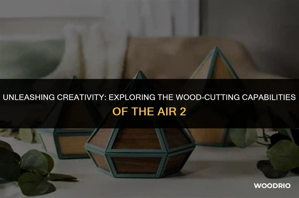 can the air 2 cut wood