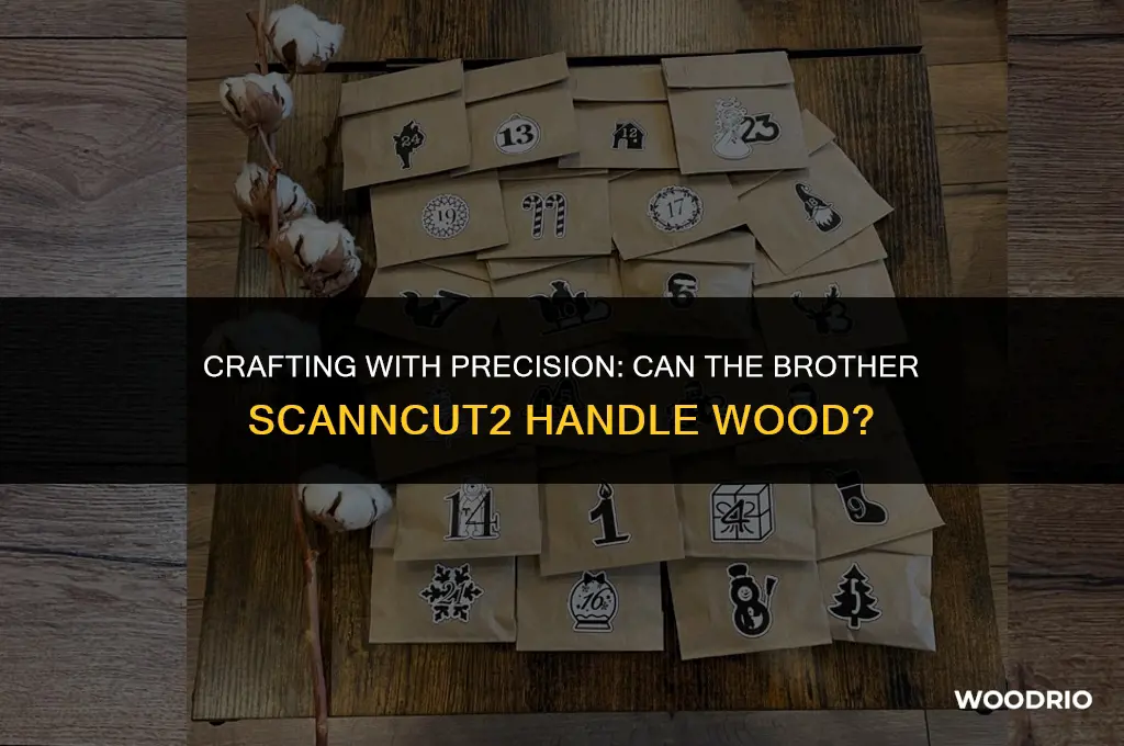can the brother scanncut2 cut wood