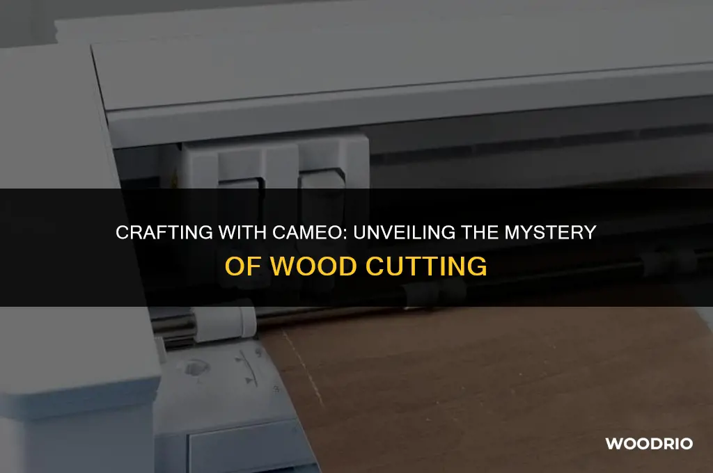 can the cameo cut through wood