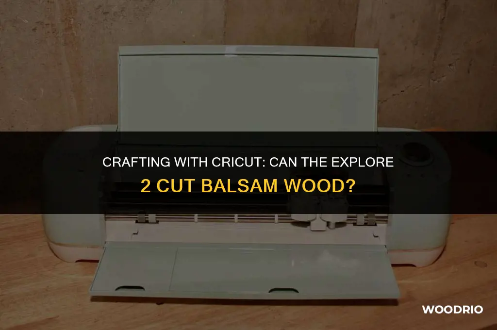 can the cricut explore 2 cut balsam wood
