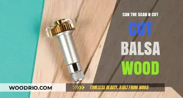 Precision Crafting: Can the Scan N Cut Handle Balsa Wood?