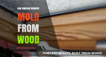 Natural Mold Remediation: Vinegar's Efficacy on Wooden Surfaces