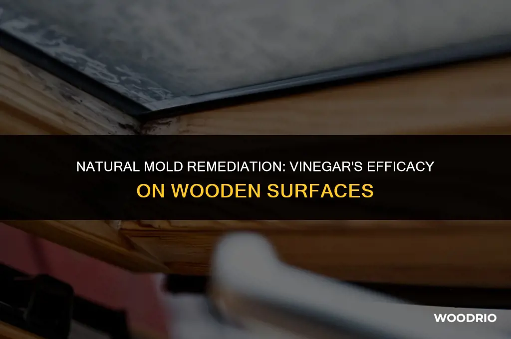 can vinegar remove mold from wood