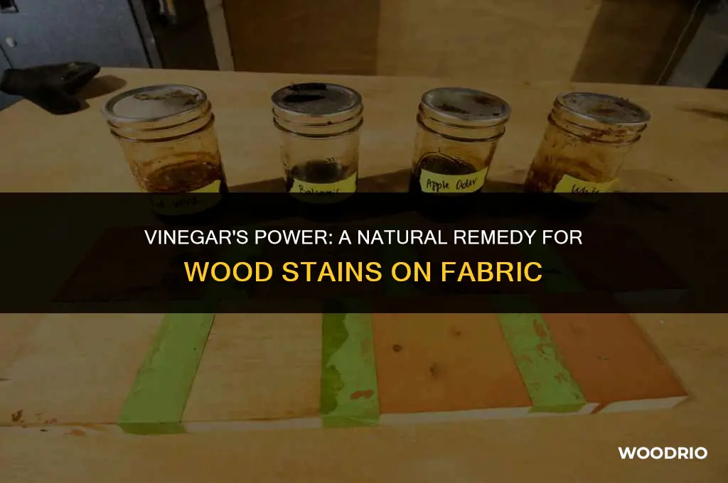 can vinegar remove wood stains from clothes