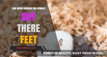 Cozy and Safe: Choosing the Right Wood Bedding for Bunnies