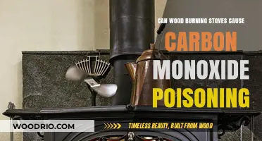 The Hidden Danger: Wood Burning Stoves and Carbon Monoxide Poisoning