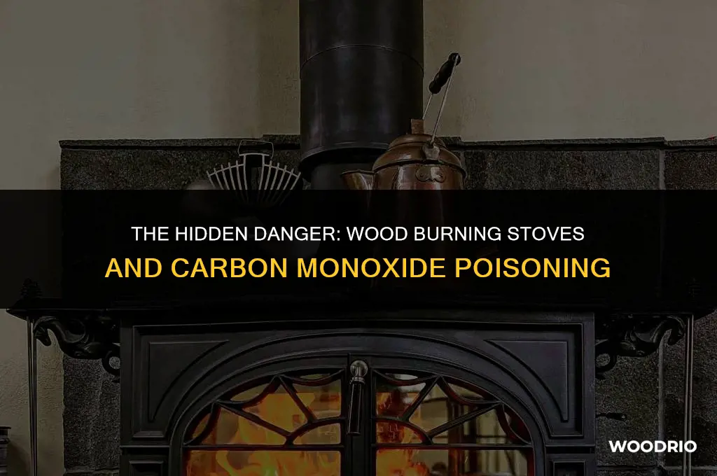 can wood burning stoves cause carbon monoxide poisoning