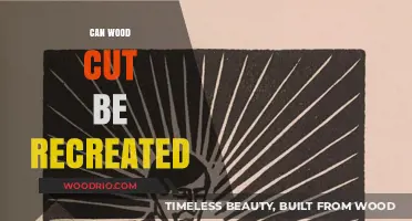 Reviving the Art: Can Traditional Woodcut Techniques Be Recreated?