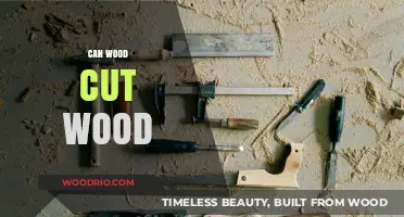 Exploring the Intricacies: Can Wood Cut Wood?
