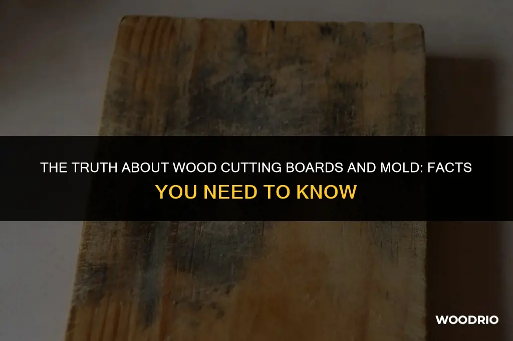 can wood cutting boards mold