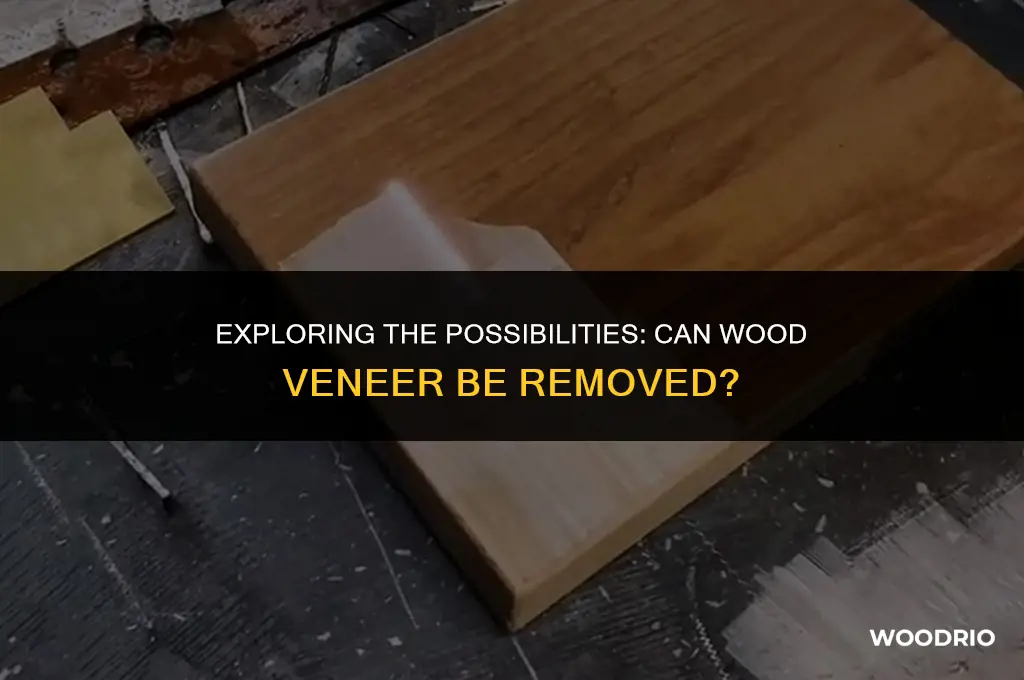 can wood veneer be removed