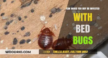 Can Store-Bought Wood Harbor Bed Bugs? What You Need to Know