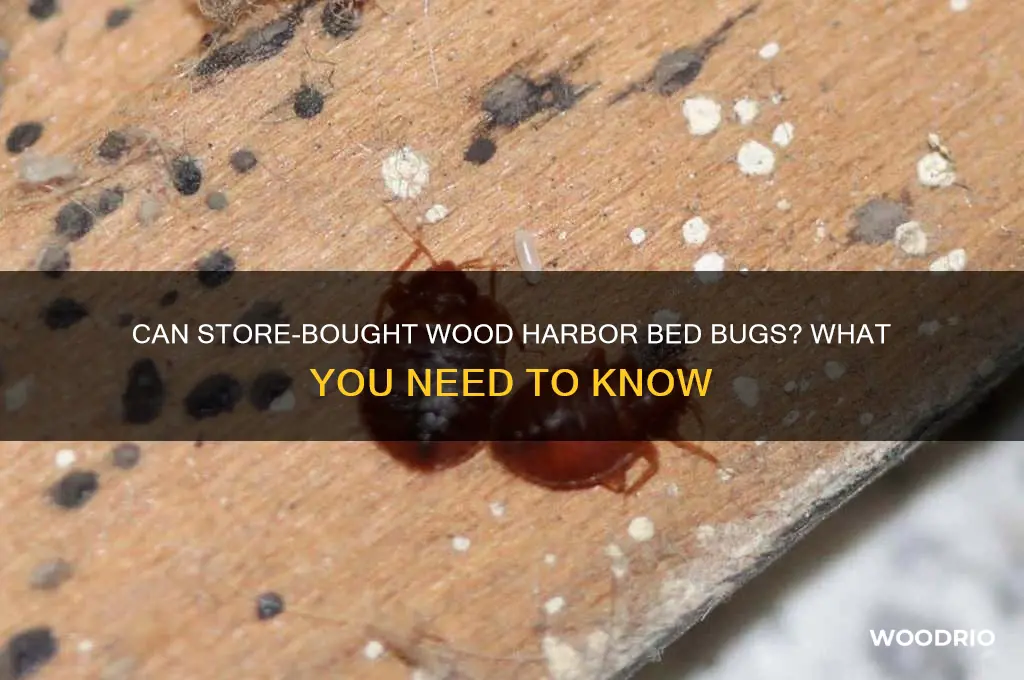 can wood you buy be infested with bed bugs