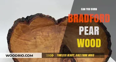 Exploring the Unique Qualities of Bradford Pear Wood for Burning