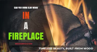 Cozy Up with Elm: A Guide to Burning Elm Wood in Your Fireplace