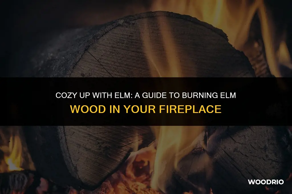 can you burn elm wood in a fireplace