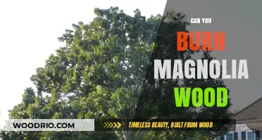 Exploring the Unique Qualities of Magnolia Wood for Burning