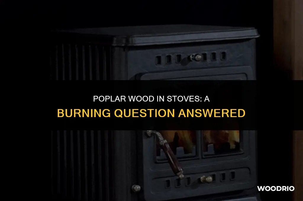 can you burn poplar in a wood stove