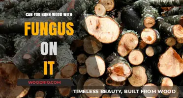 Burning Wood with Fungus: Safe Practices and Potential Risks