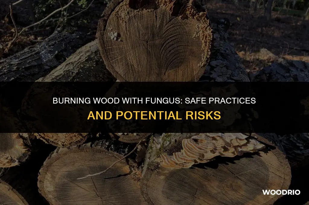 can you burn wood with fungus on it
