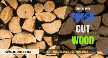 From Timber to Treasure: The Art of Burning Fresh-Cut Wood