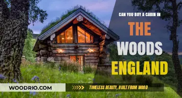 Buying a Woodland Cabin in England: Possibilities and Practicalities