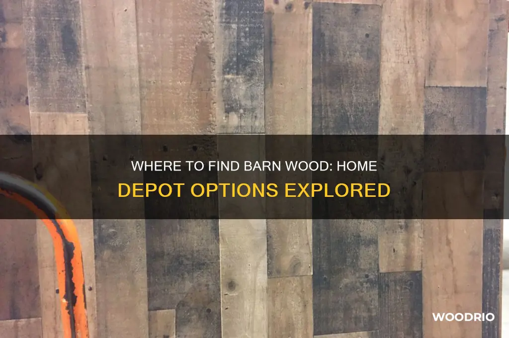 can you buy barn wood at homedepot