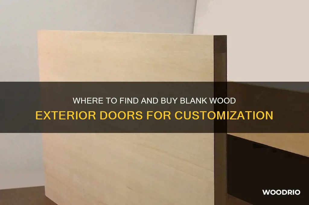 can you buy blank wood exterior doors