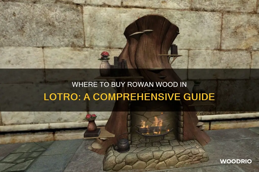 can you buy by rowan wood in lotro