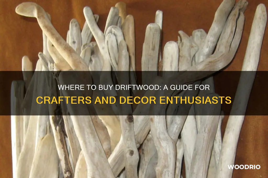 can you buy drift wood
