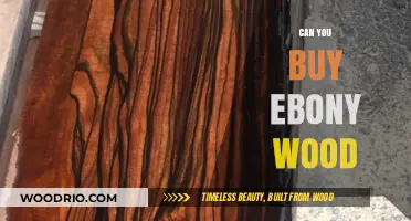 Where to Buy Ebony Wood: A Comprehensive Guide for Buyers
