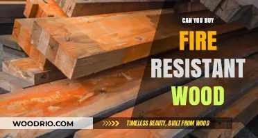 Is Fire-Resistant Wood a Real Option for Home Safety?