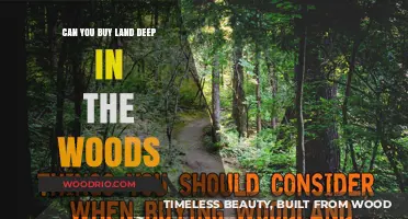 Buying Land Deep in the Woods: Legal, Practical, and Environmental Considerations