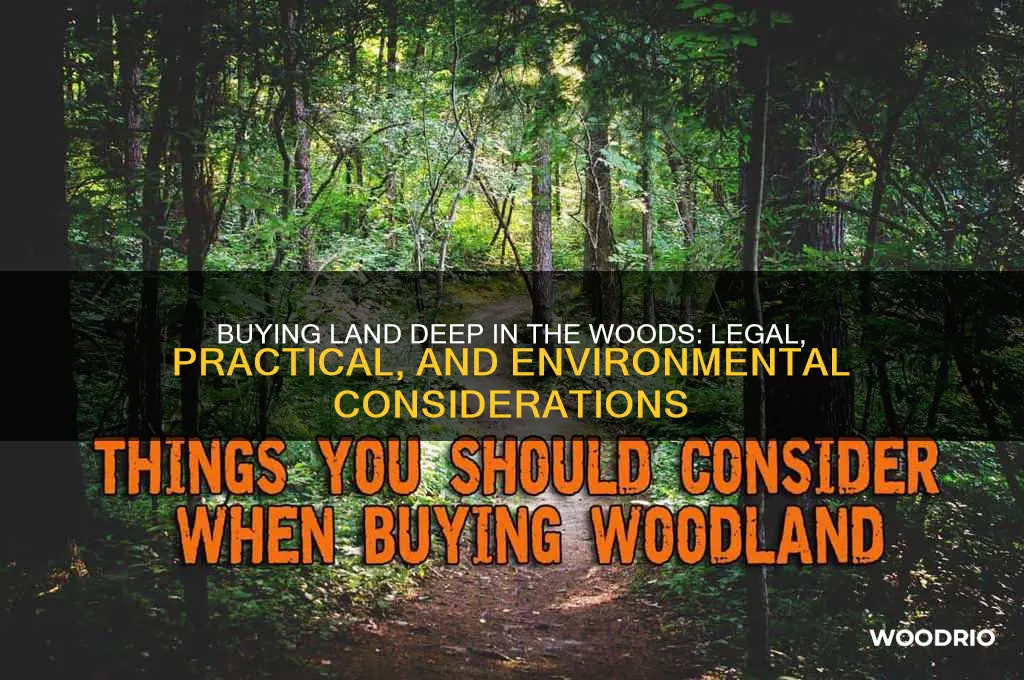 can you buy land deep in the woods